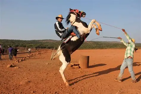 Horse Riding in Mahabaleshwar: The Honest, Human, Wonderful Story of It blog hero image in Mahabaleshwar